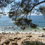 © Crique de l'anglaise Bandol - Crique de l'anglaise Bandol