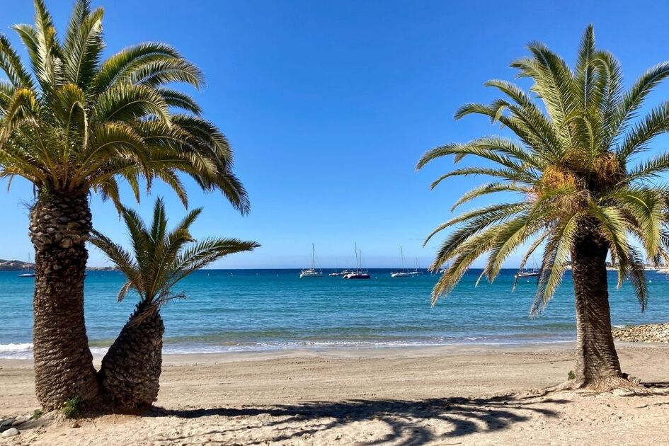 © Plage du Grand Vallat Bandol - Plage du Grand Vallat Bandol