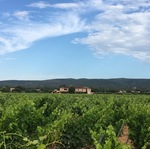 Domaine  Pieracci