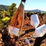 Domaine  Pieracci