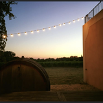 Domaine  Pieracci