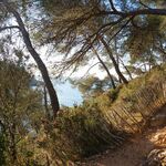 © Le Sentier du littoral entre Port d'Alon et la Pointe Fauconnière - Office de tourisme de Saint-Cyr-sur-Mer / Joan Costeja