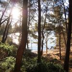 © Le Sentier du littoral entre Port d'Alon et la Pointe Fauconnière - Office de tourisme de Saint-Cyr-sur-Mer / Joan Costeja