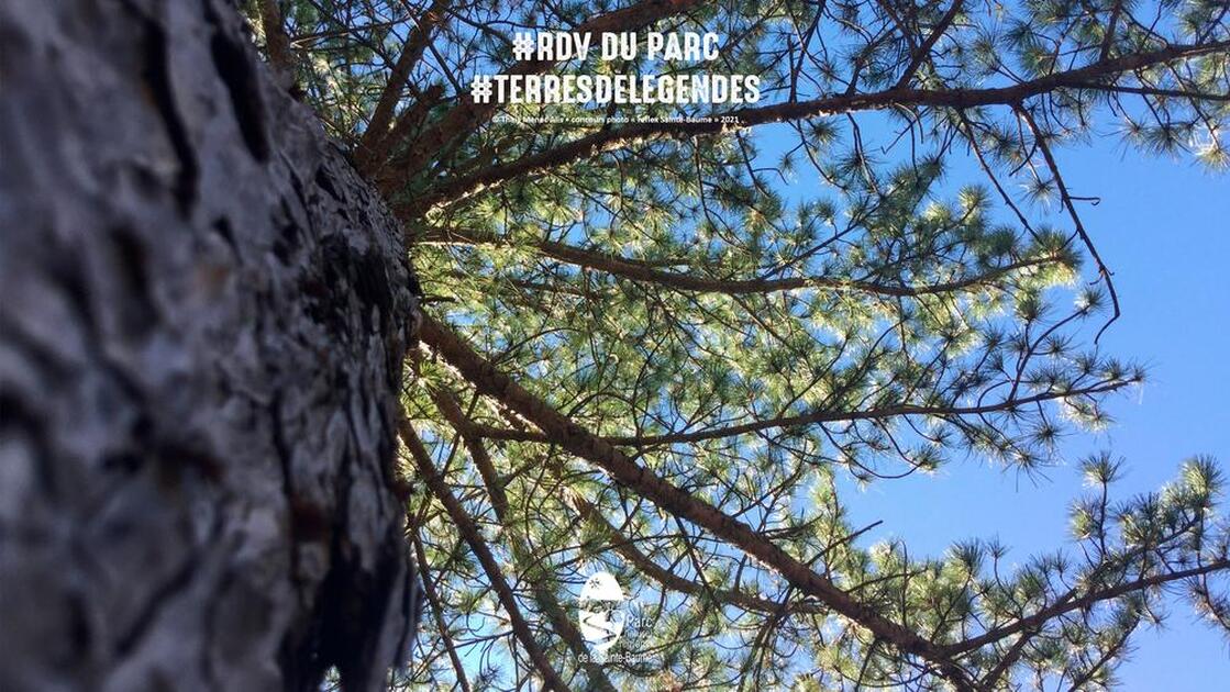 © Atelier Terres de Légendes : fibre au naturel #RDVduParc_Le Beausset - PNR Sainte-Baume