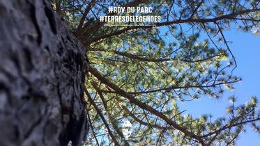 Atelier Terres de Légendes : fibre au naturel #RDVduParc
