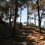 © Le sentier du littoral - Office de tourisme de Saint-Cyr-sur-Mer / Joan Costeja