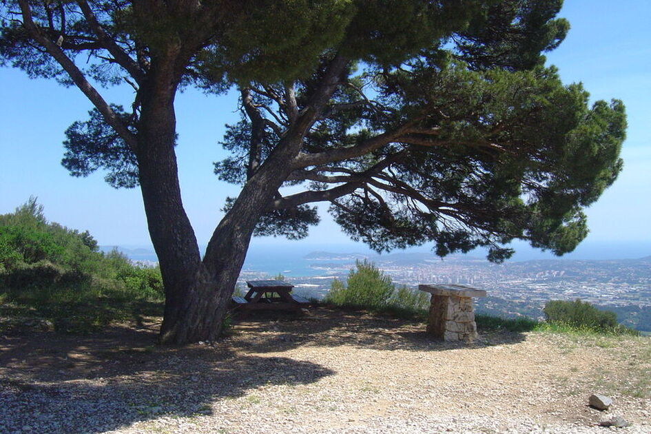 © Le Gros Cerveau - Office de tourisme de Sanary-sur-Mer