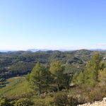© Le Gros Cerveau - Office de tourisme de Sanary-sur-Mer